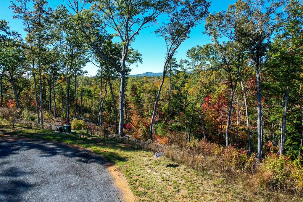 Lot 305 Greenwood Court