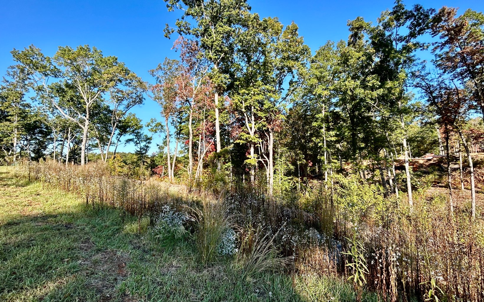 Lot 305 Greenwood Court