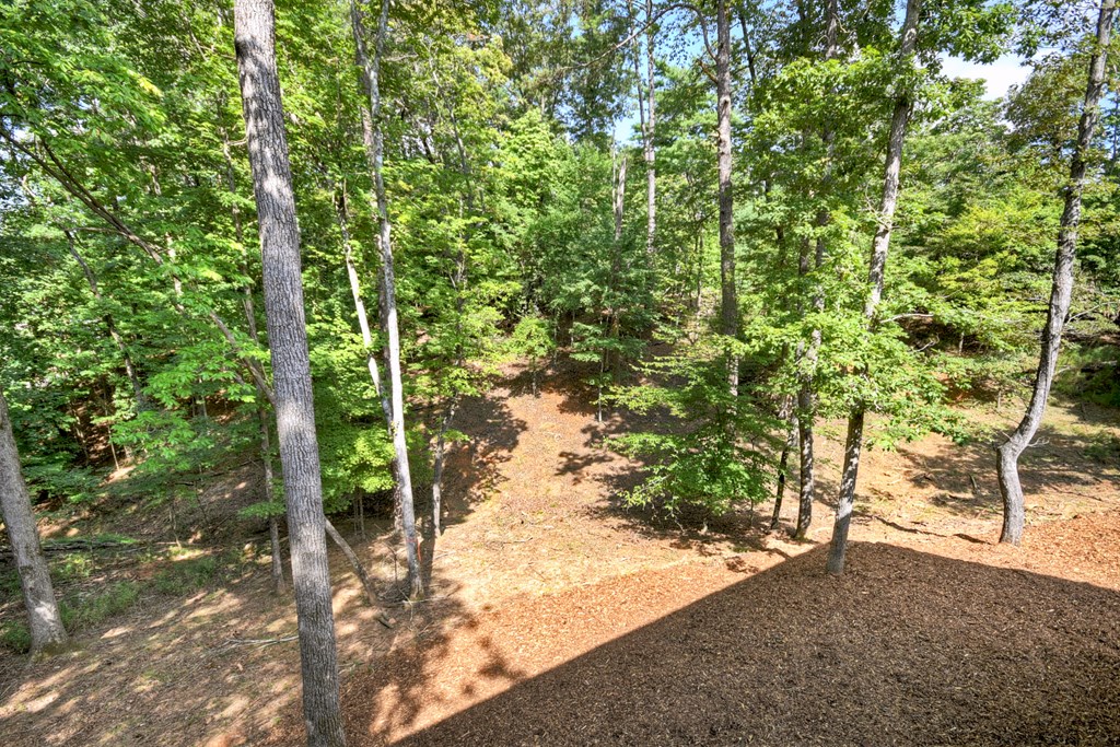 388 Carlisle Drive