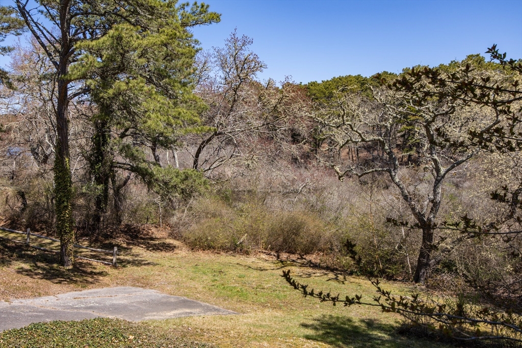 56 Meadow Brook