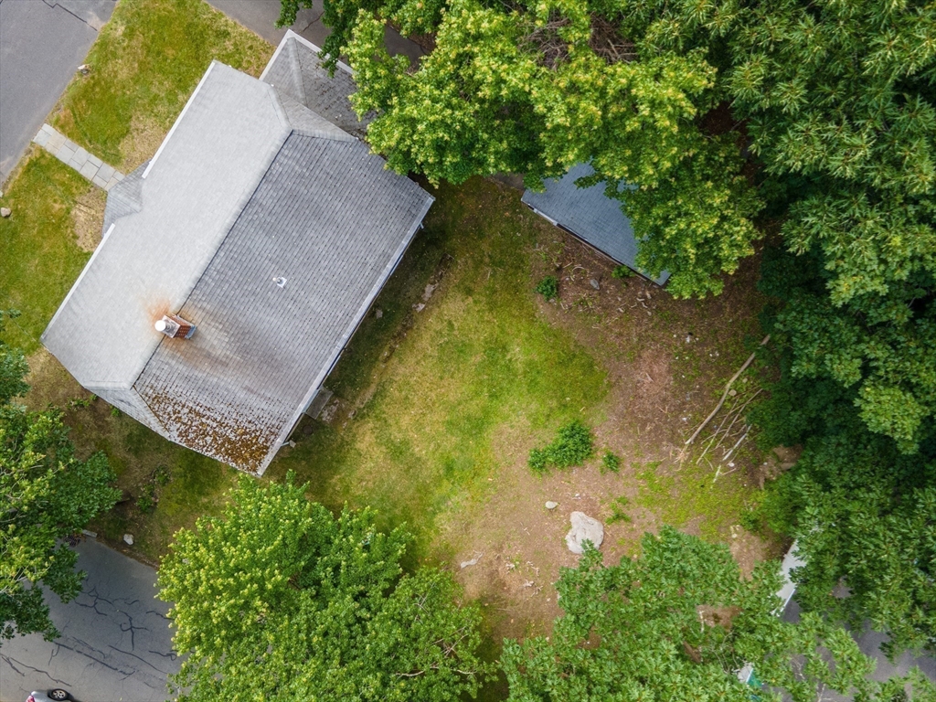 86 Bayley Street
