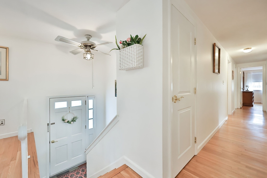 15 Appletree Ln