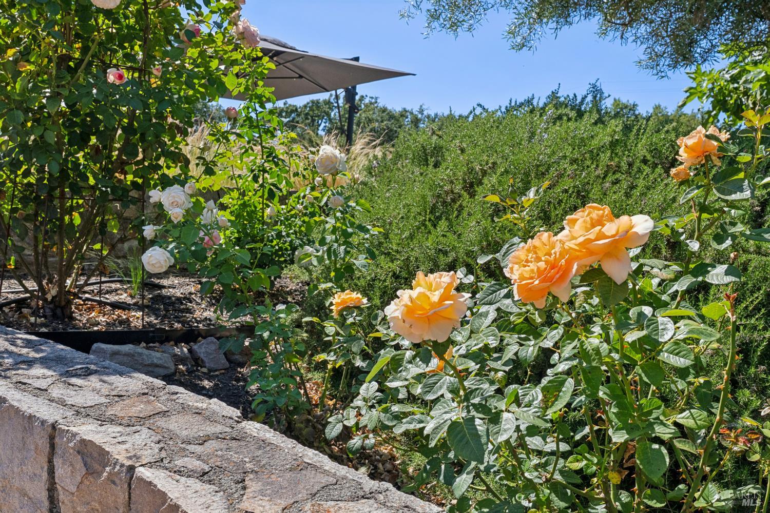 1297 Leaning Oak Drive