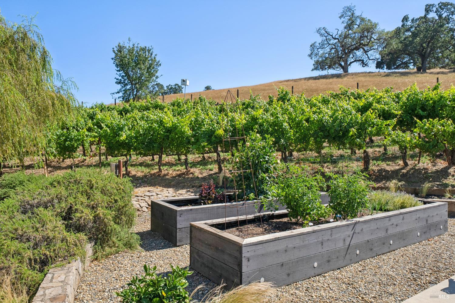 1297 Leaning Oak Drive