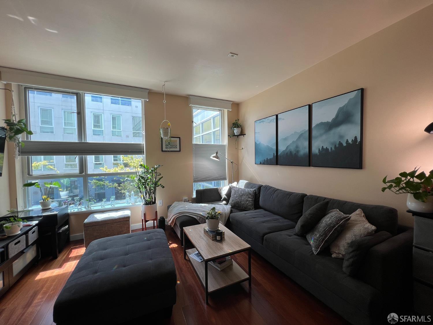 888 7th Street # 231
