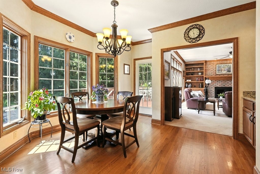 667 White Tail Ridge Drive