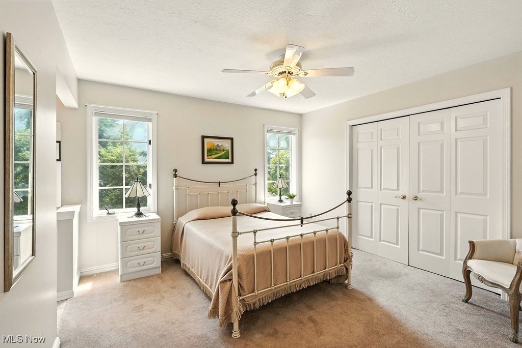 667 White Tail Ridge Drive