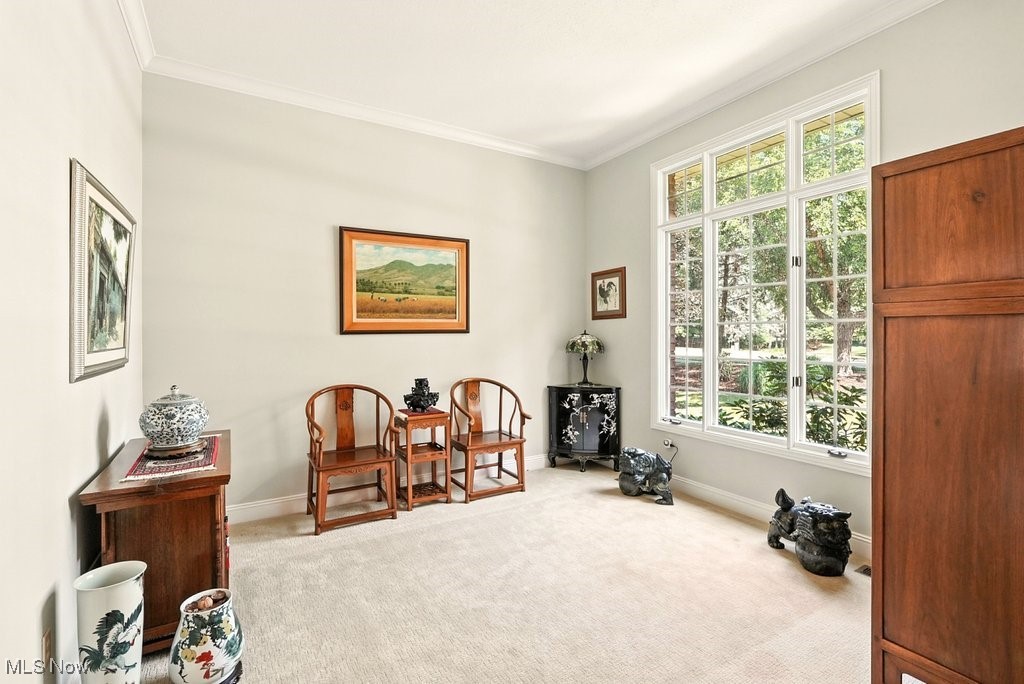 667 White Tail Ridge Drive