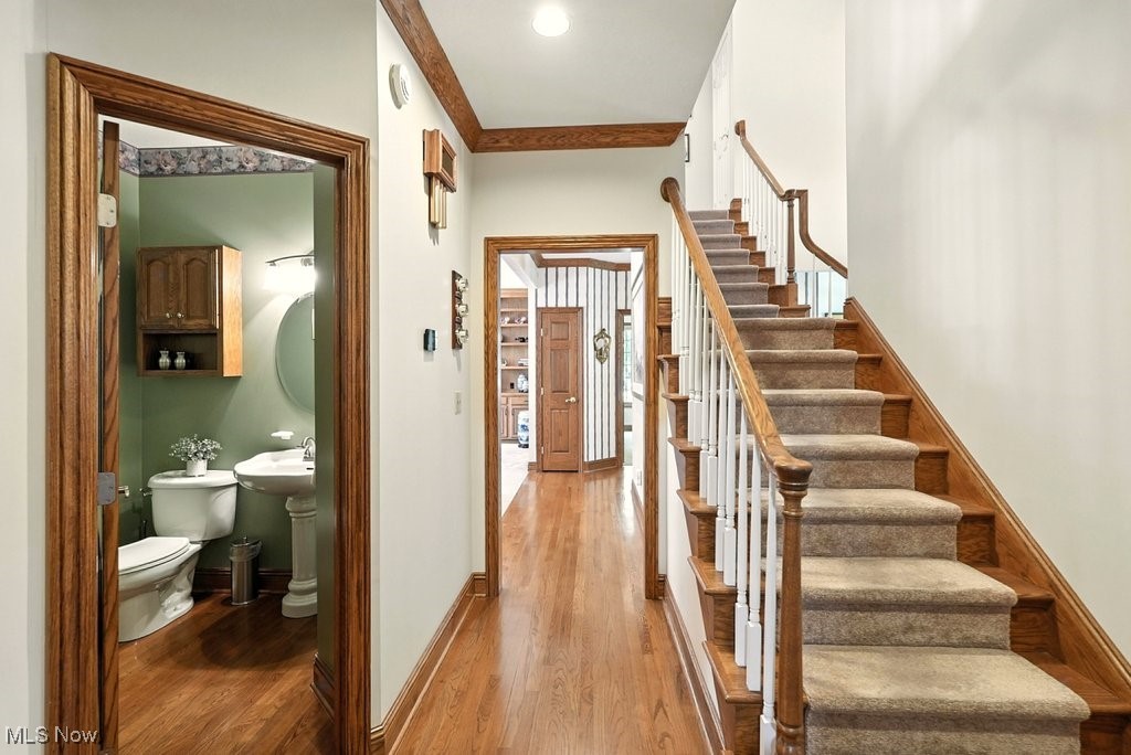 667 White Tail Ridge Drive