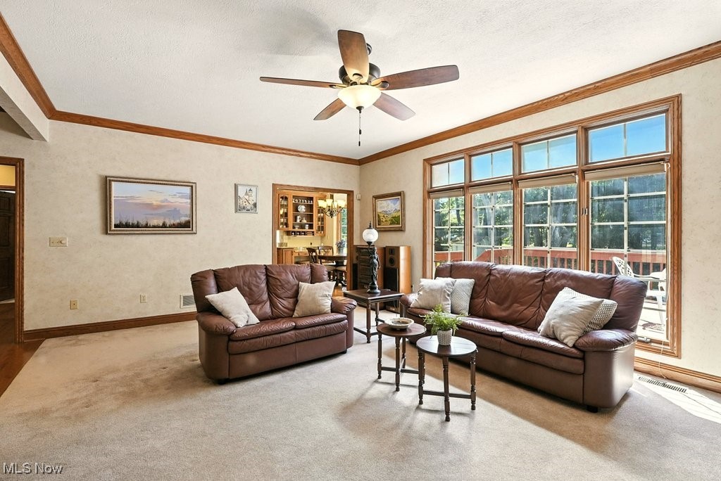 667 White Tail Ridge Drive