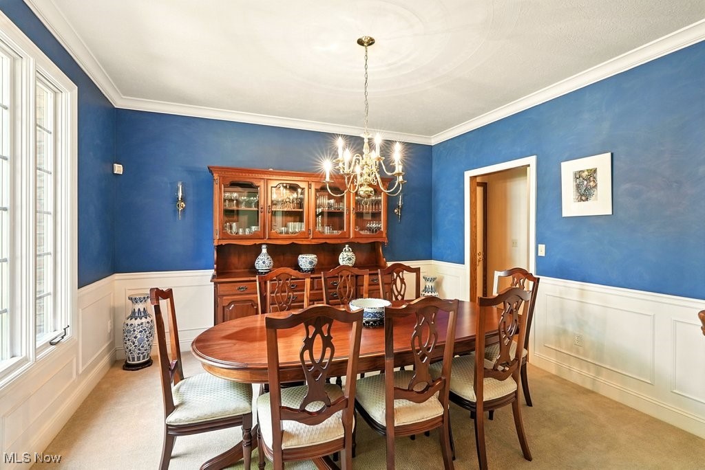 667 White Tail Ridge Drive