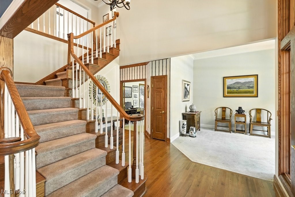 667 White Tail Ridge Drive