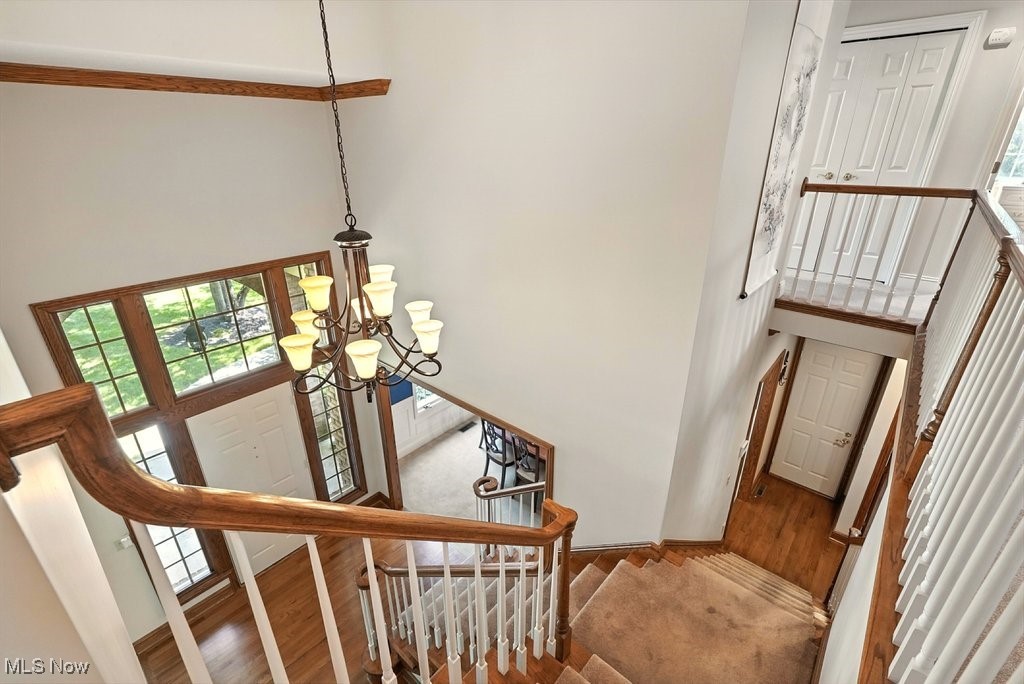 667 White Tail Ridge Drive