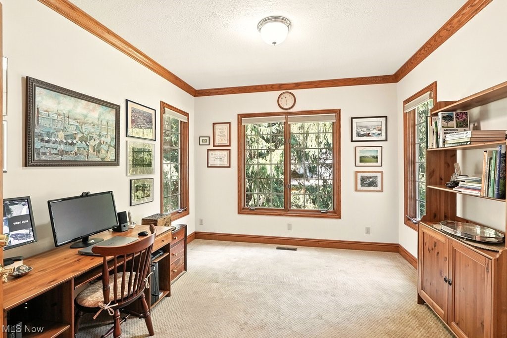 667 White Tail Ridge Drive