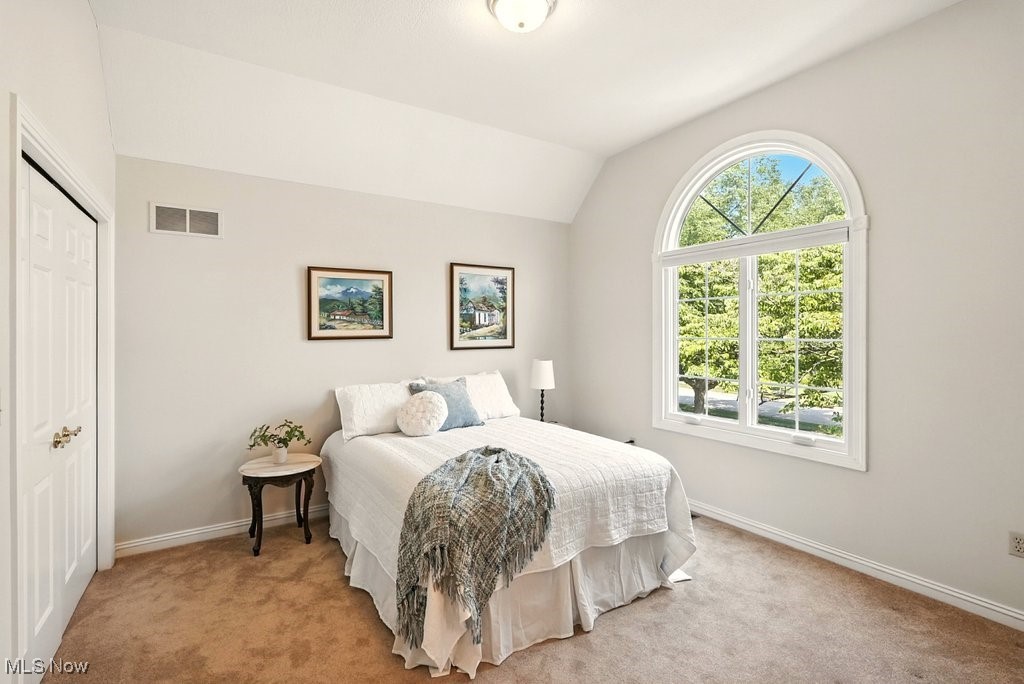 667 White Tail Ridge Drive