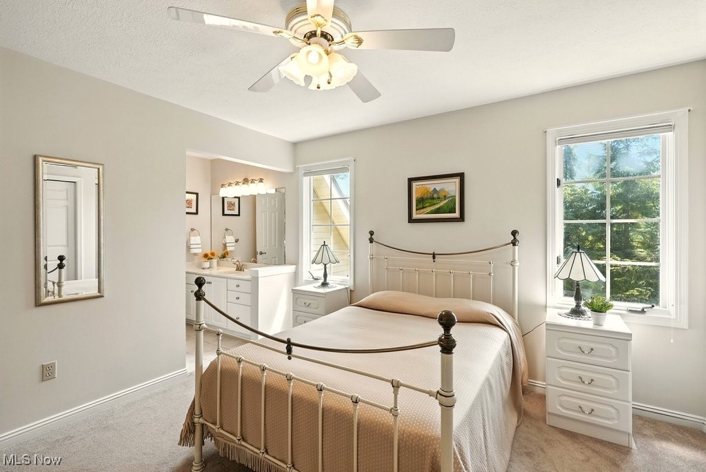 667 White Tail Ridge Drive