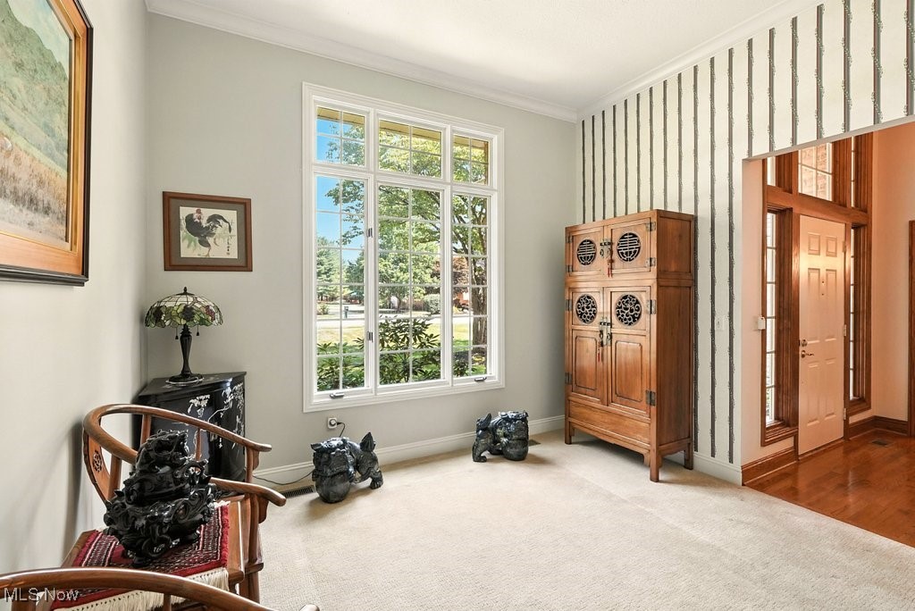 667 White Tail Ridge Drive