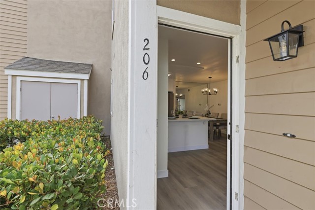 34144 Selva Rd Unit: 206