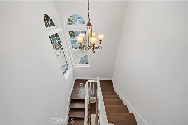 2217 Mayfair CT