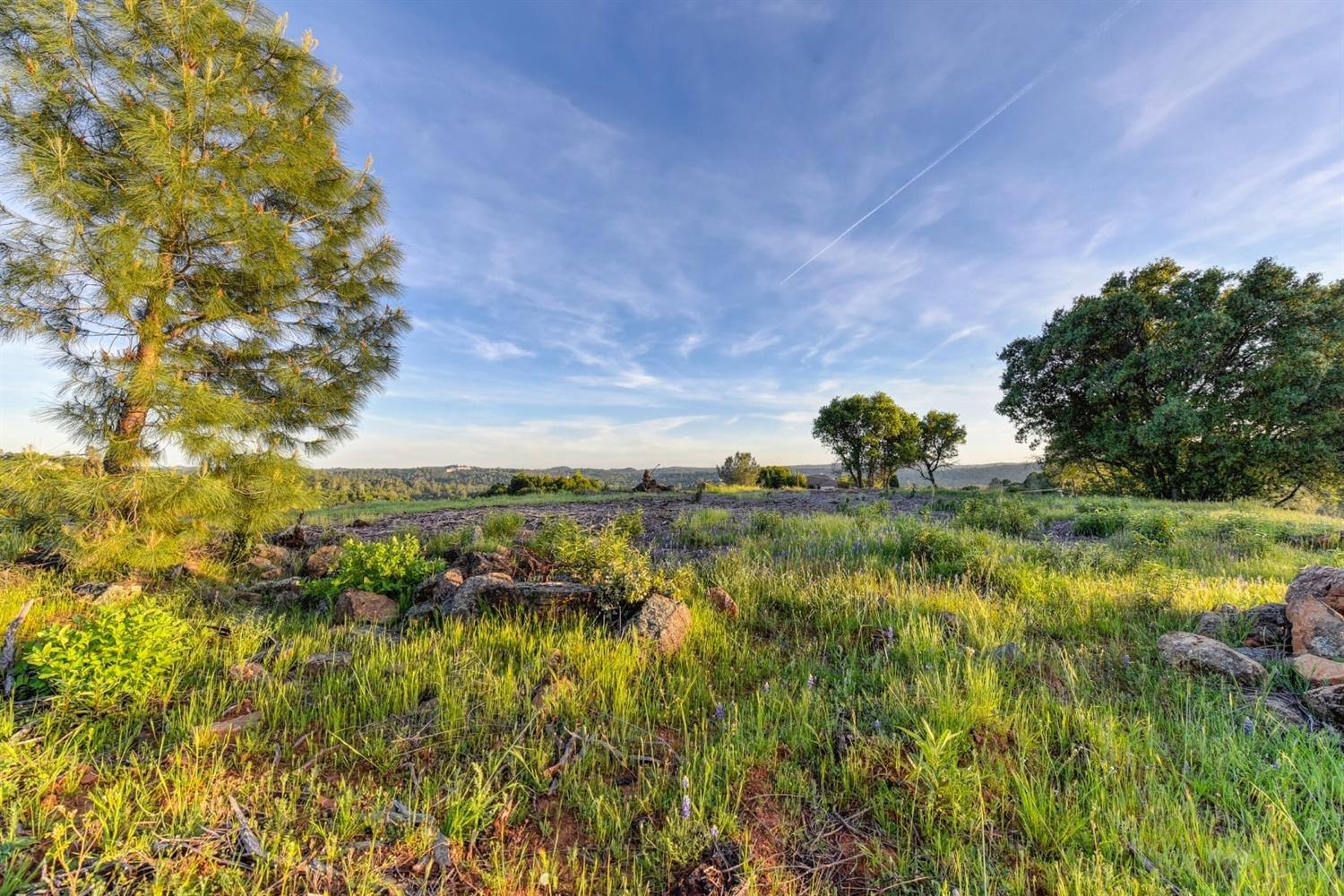 2321 Greensboro Road