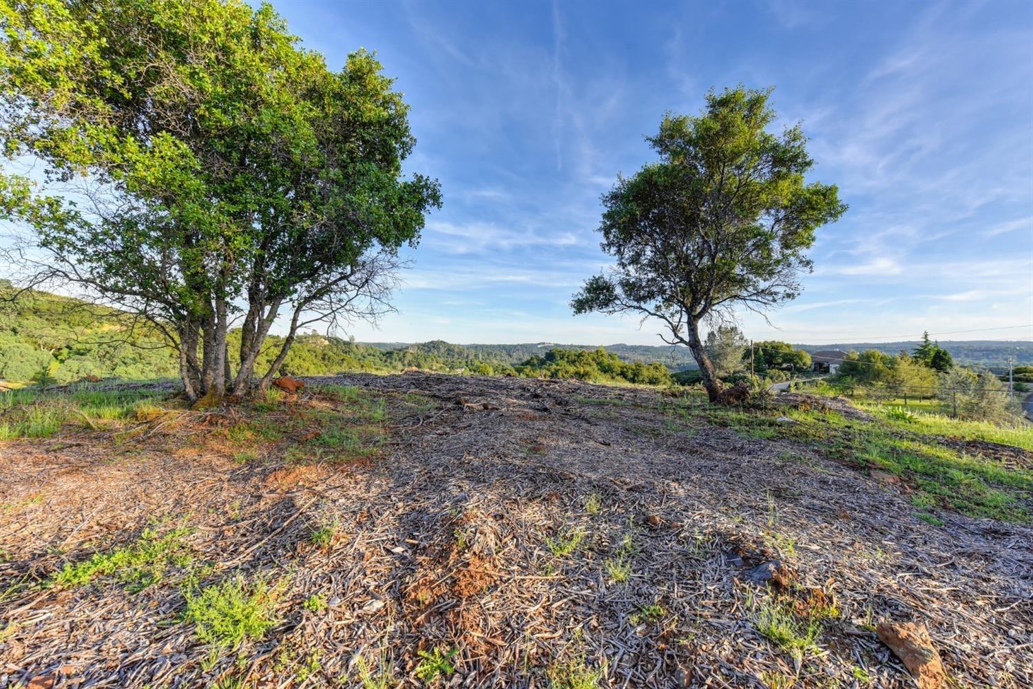 2321 Greensboro Road