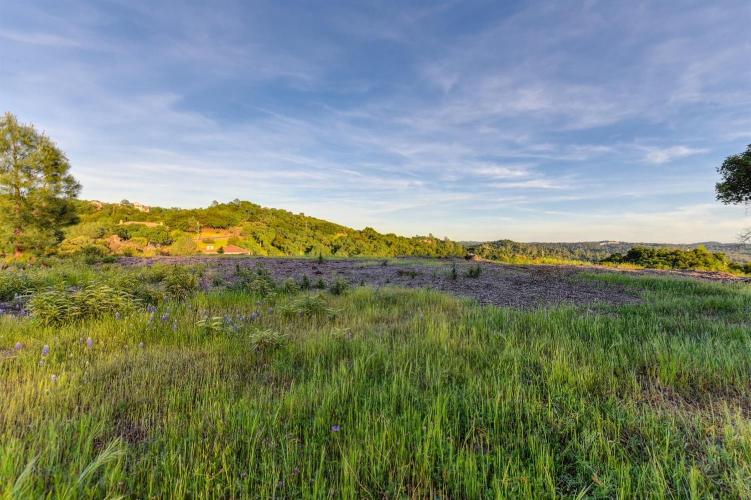 2321 Greensboro Road