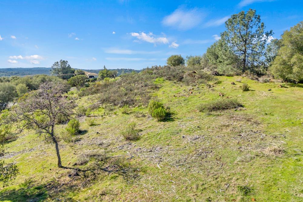 2321 Greensboro Road