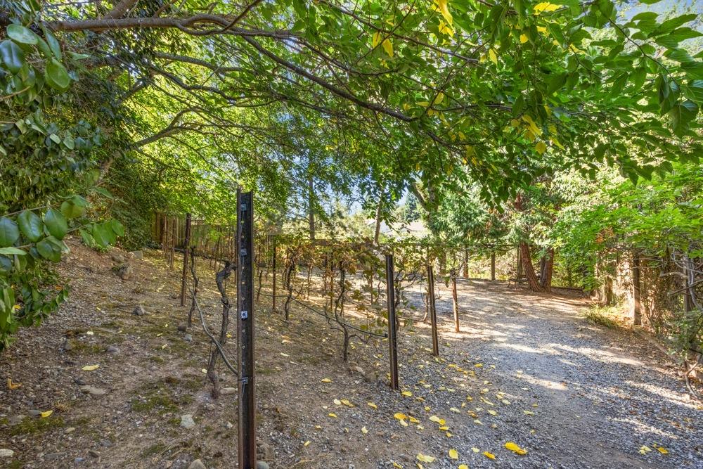 2212 Timberline Ridge Court