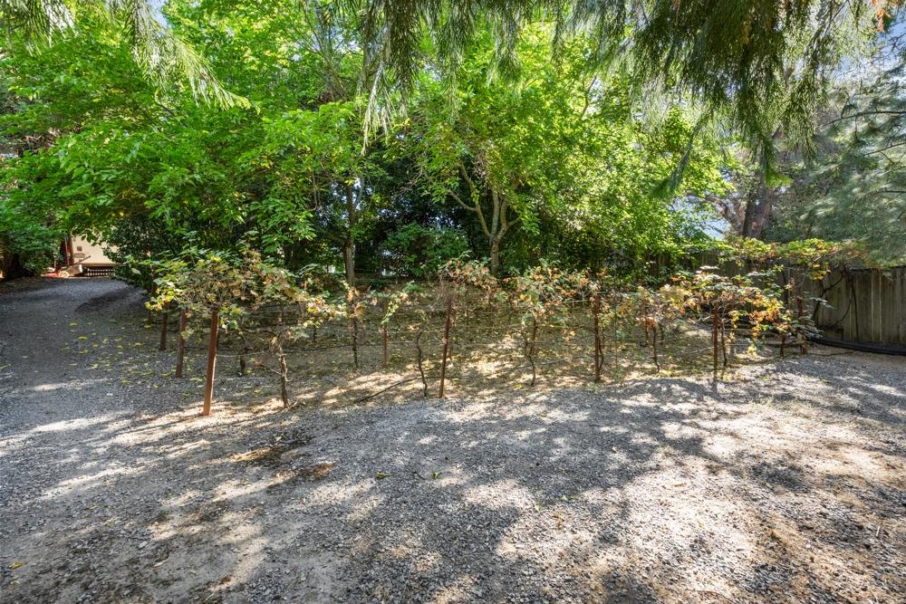 2212 Timberline Ridge Court