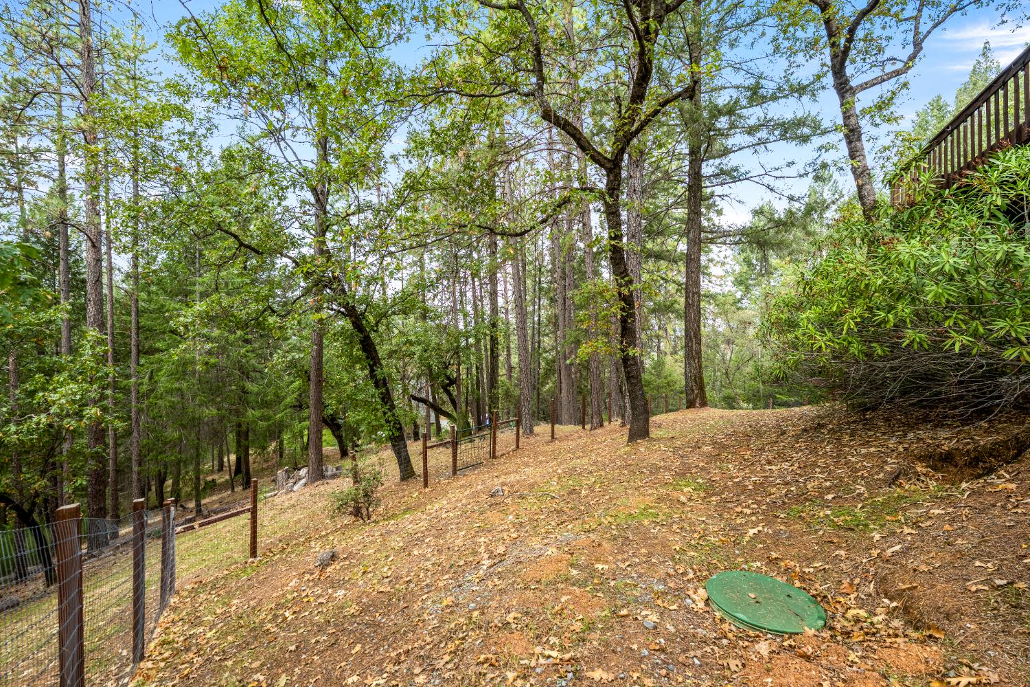 1942 Blue Bell Court