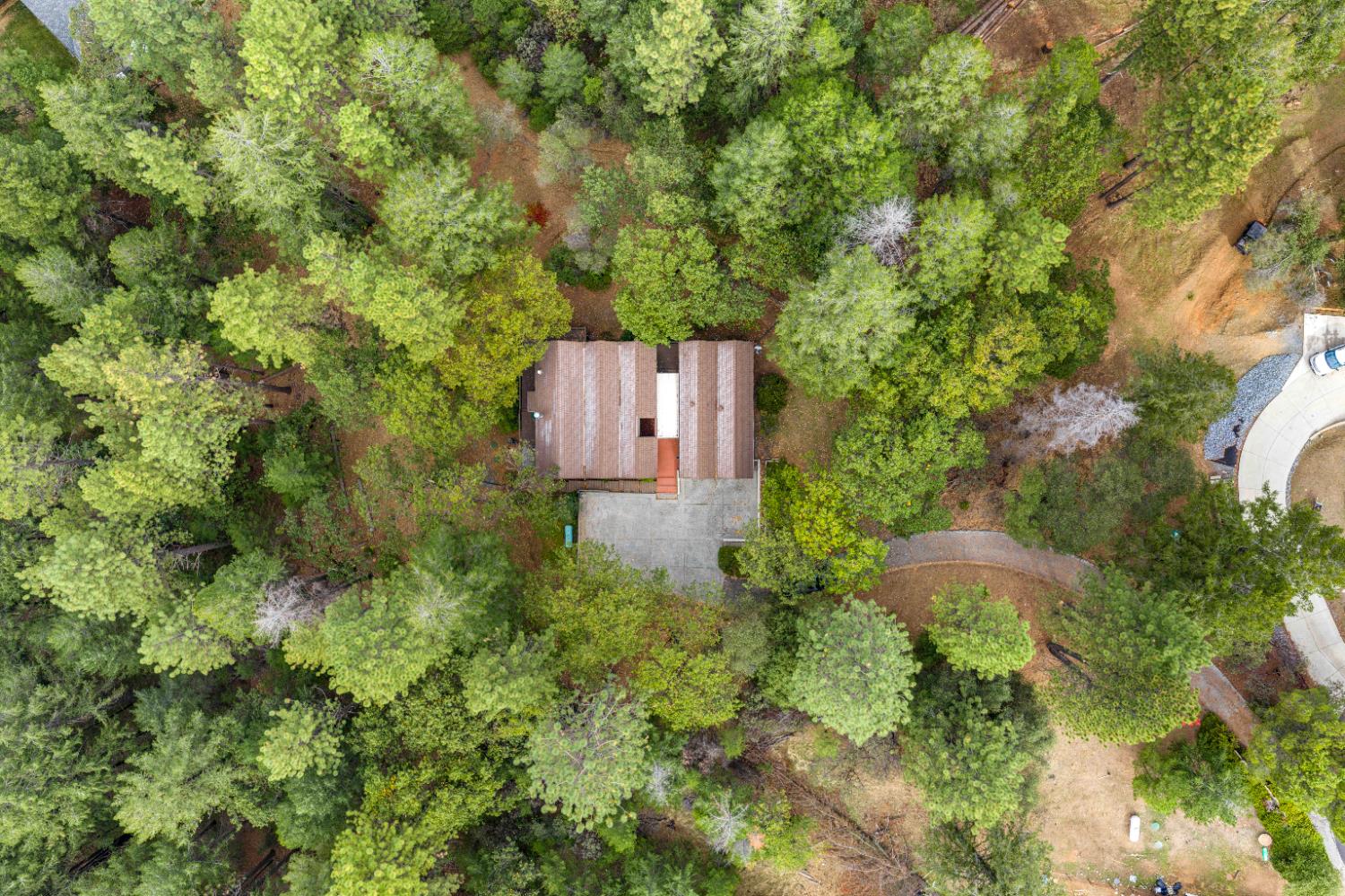 1942 Blue Bell Court