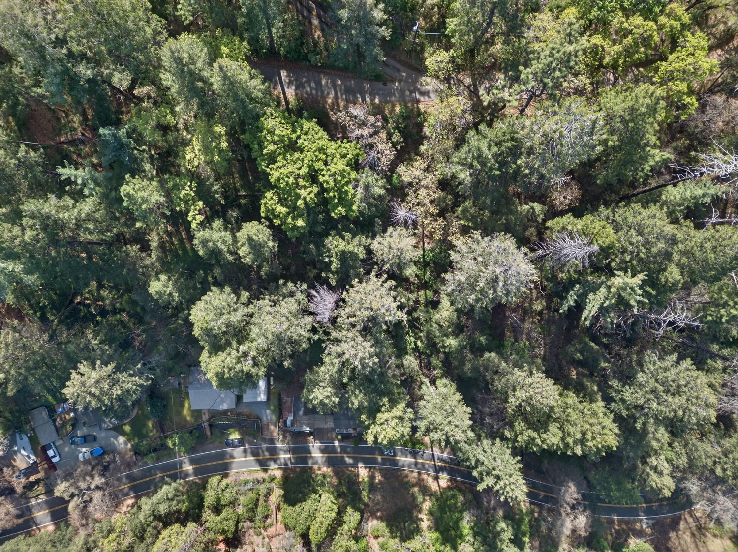 1818 Smith Flat Road