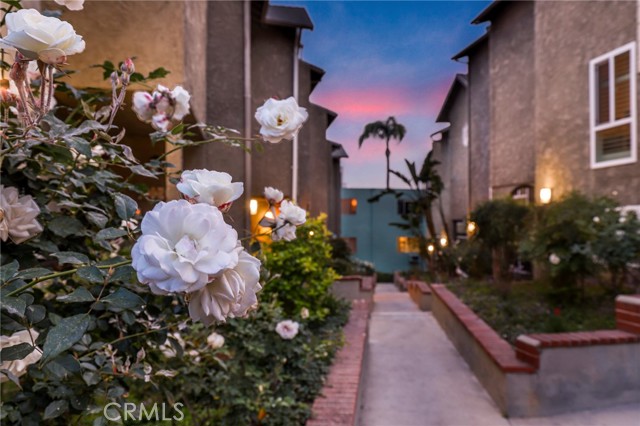 2976 Avenel Terrace