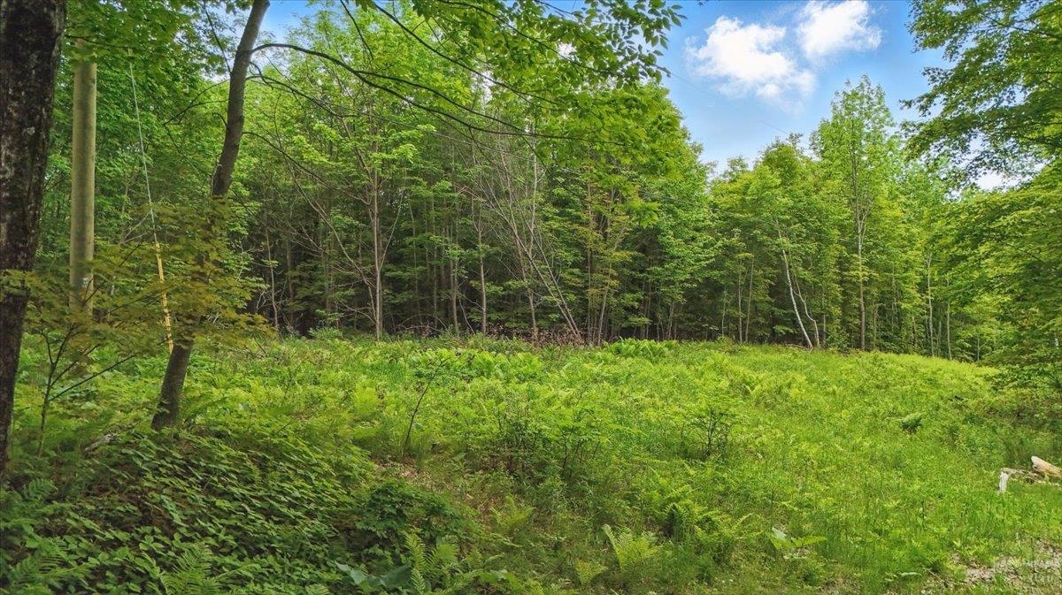 TBD Lot 1 Woodcock Road