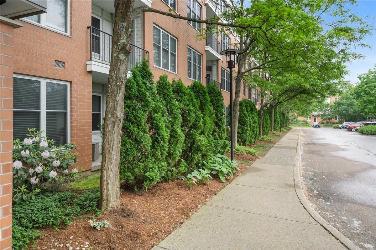 370 Farrell Street Unit: 217