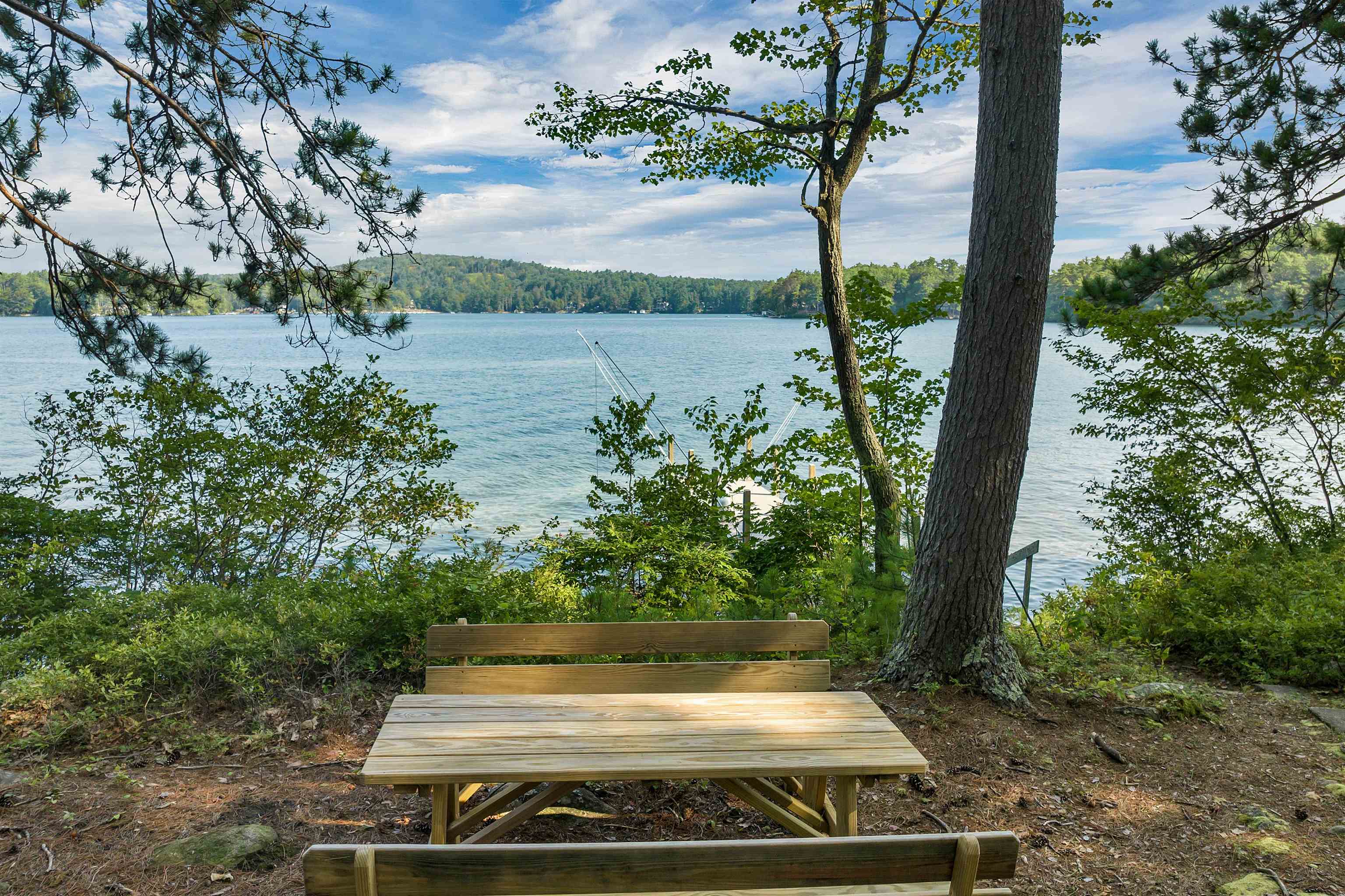 10 Pitchwood Island
