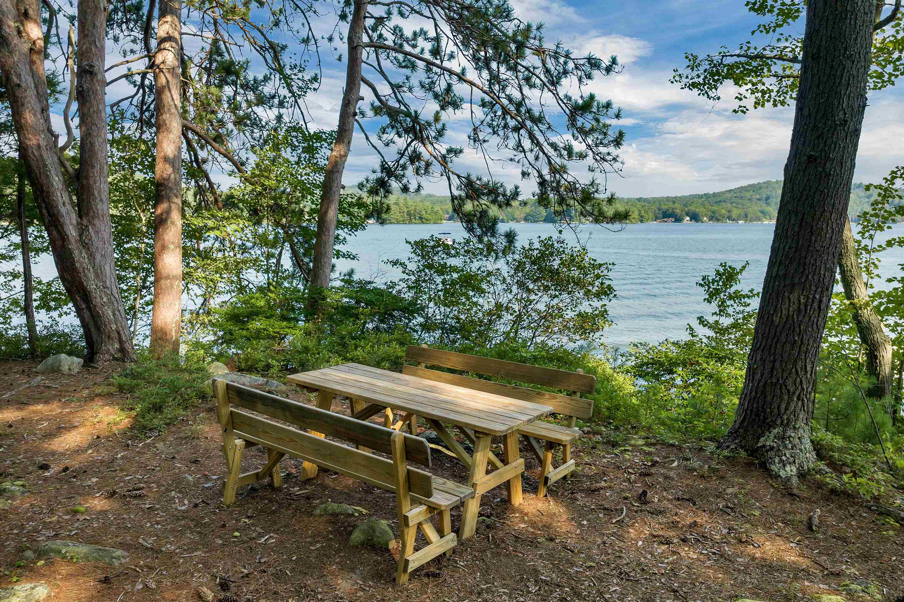 10 Pitchwood Island