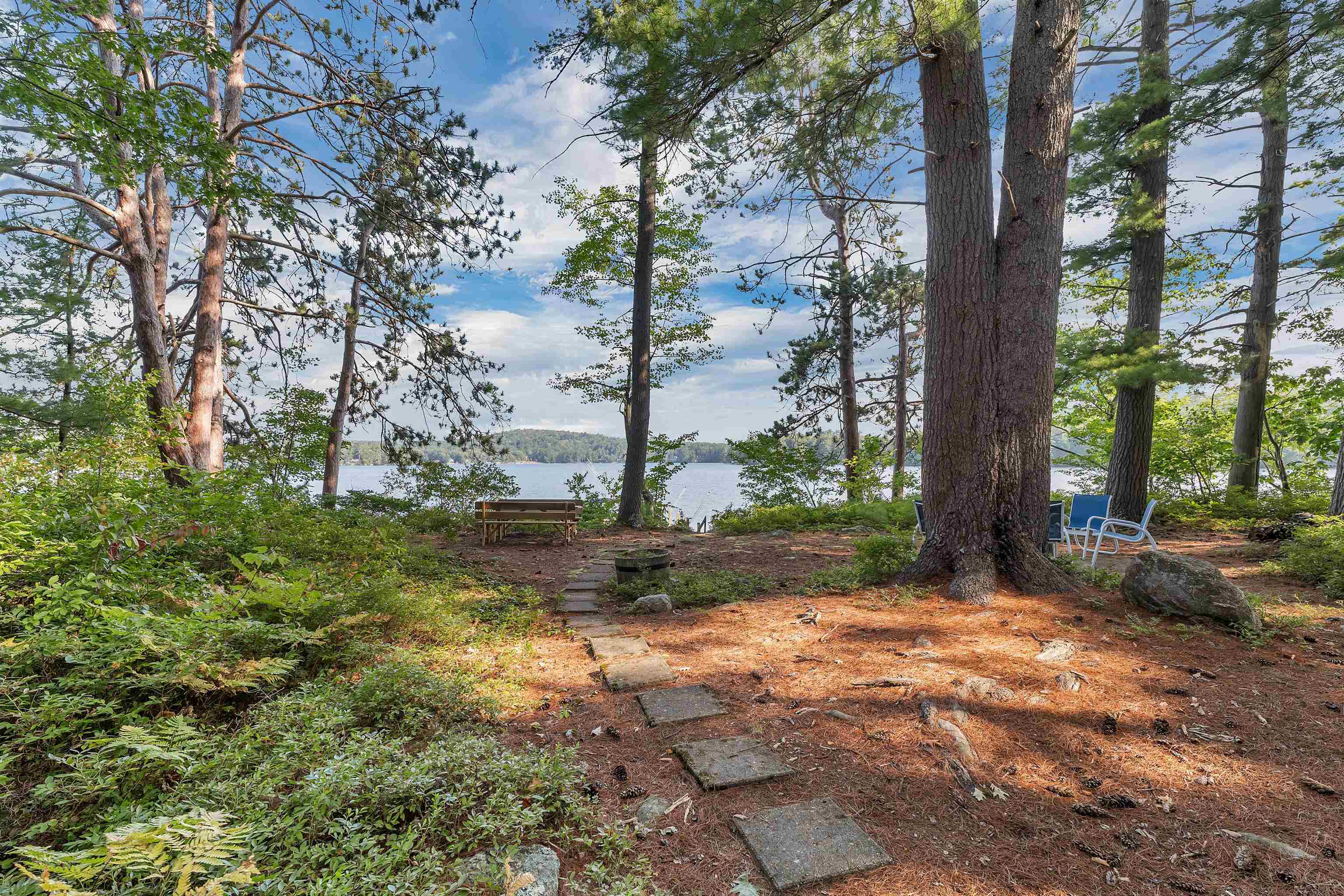 10 Pitchwood Island
