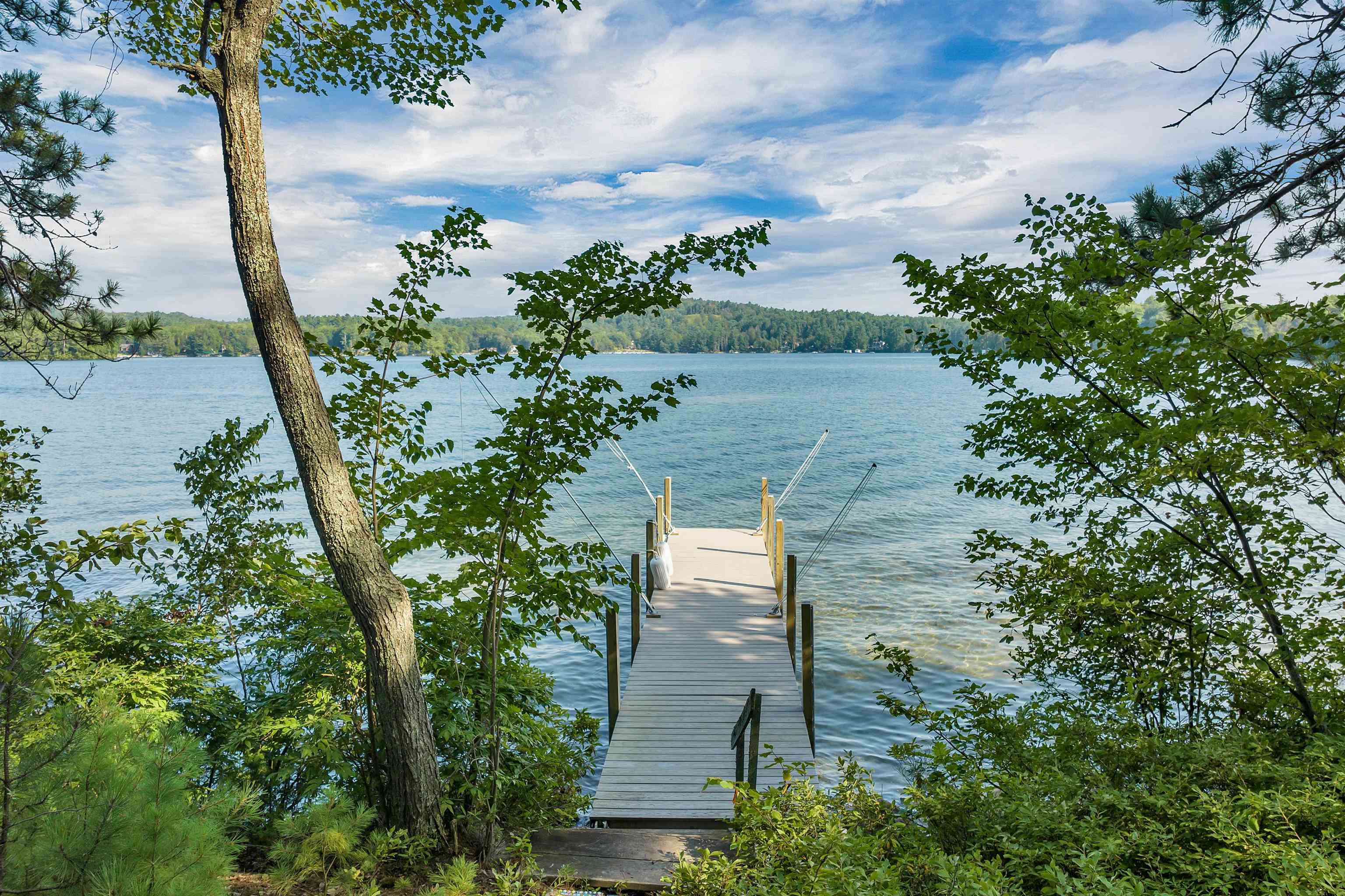 10 Pitchwood Island