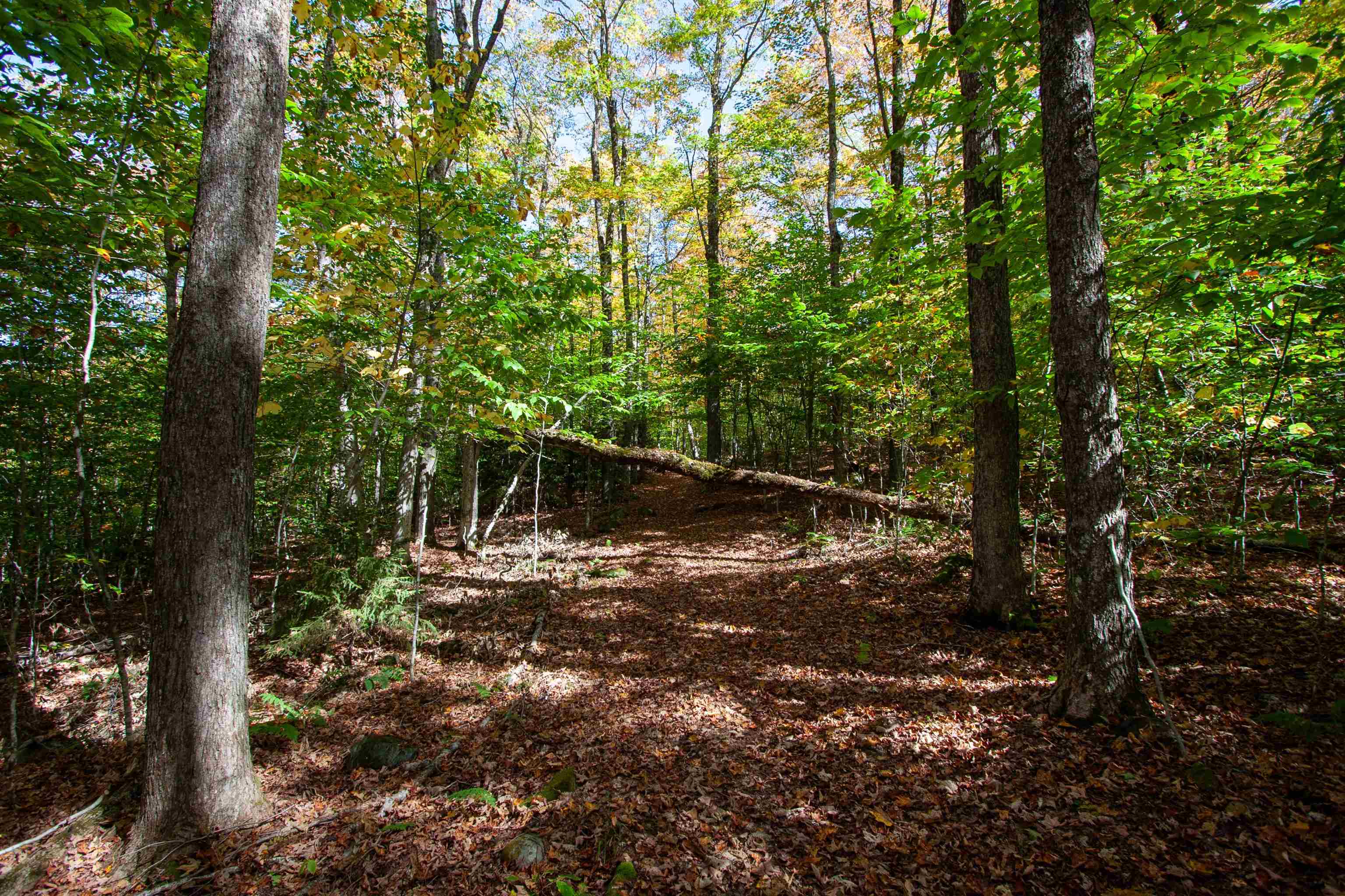1052 CCC Road
