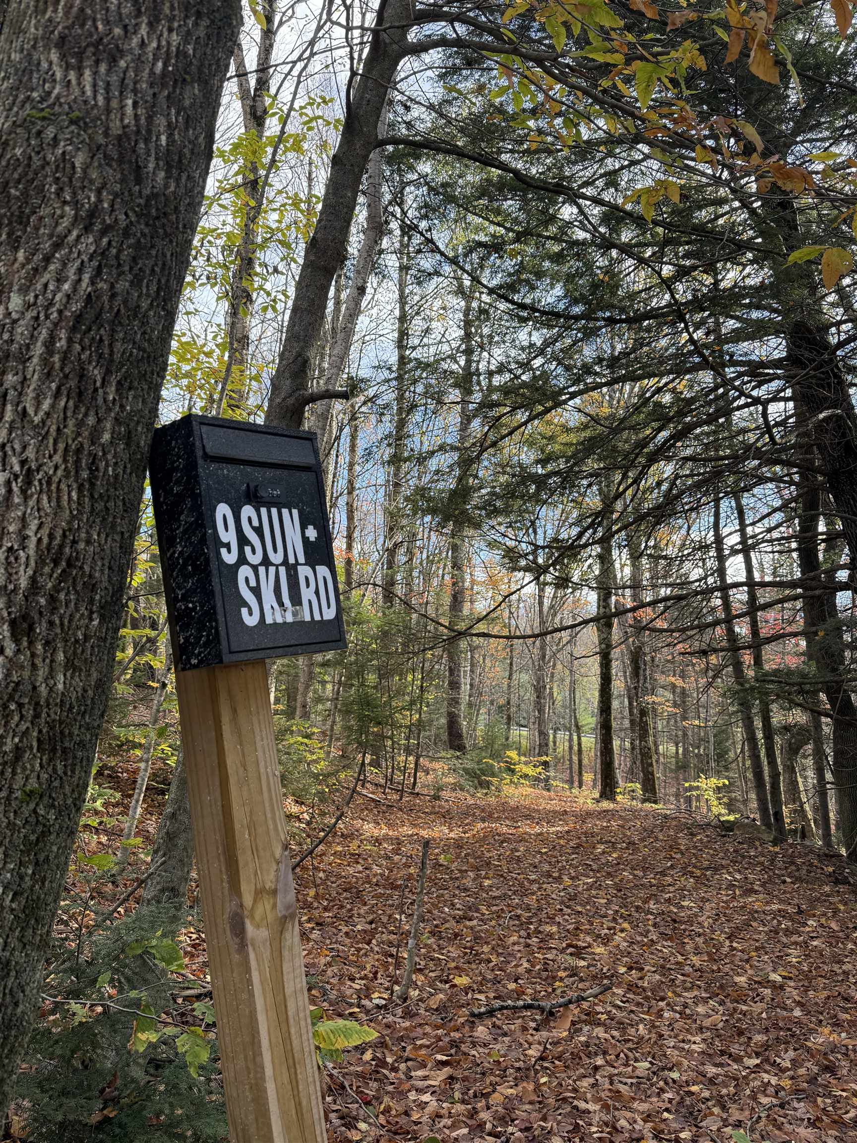 9 Sun and Ski Road