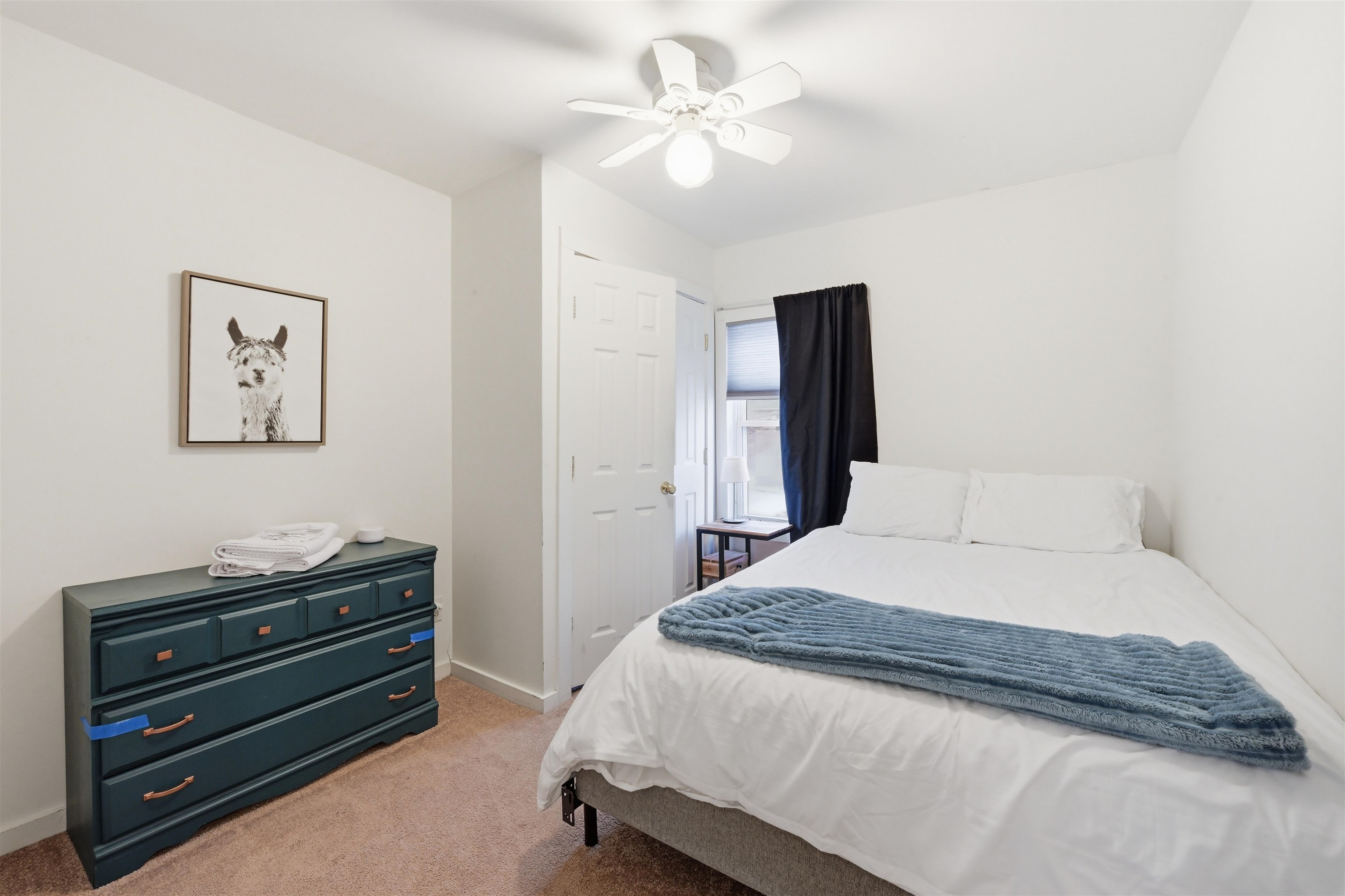 446 Colchester Avenue