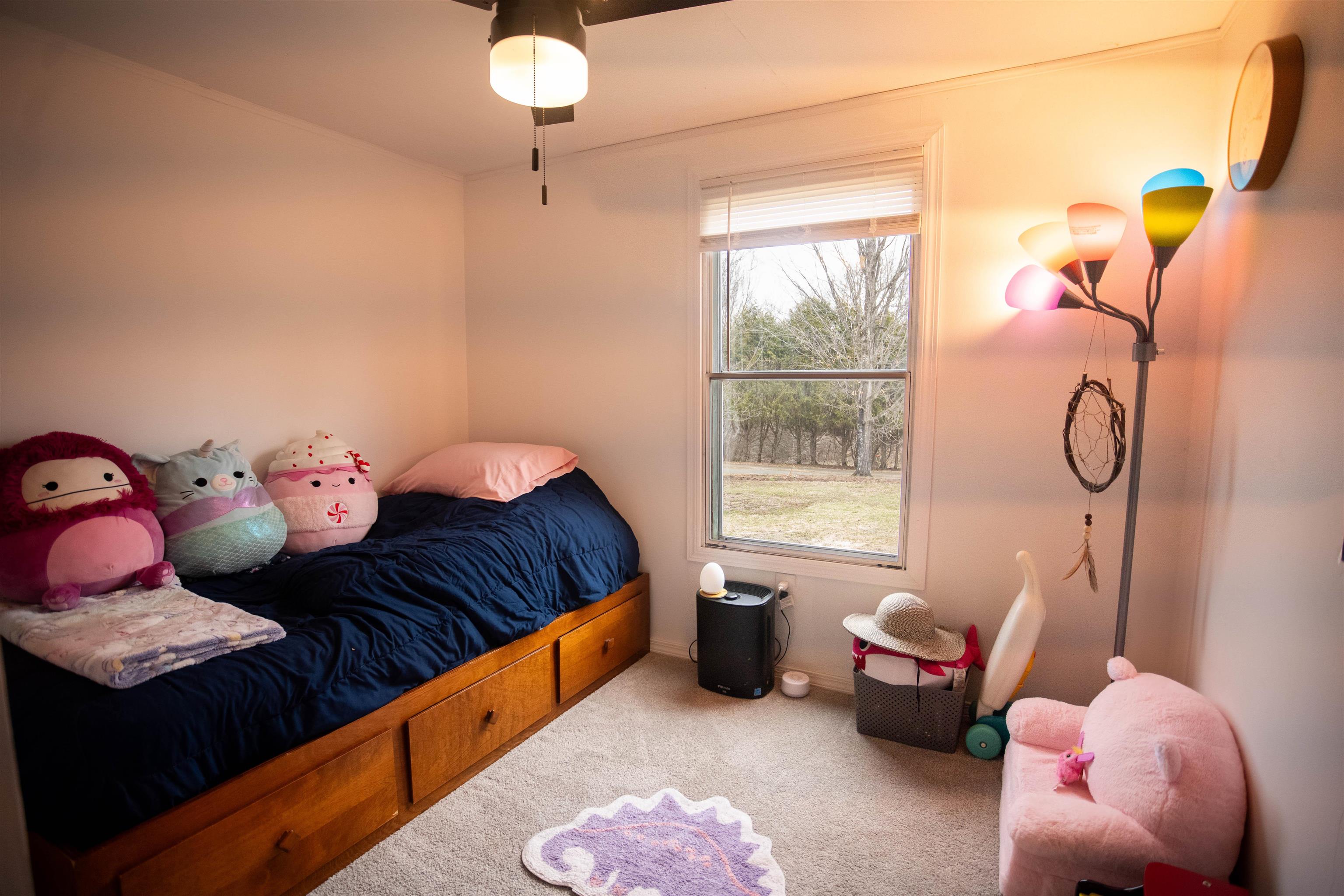 113 Cedar Lane