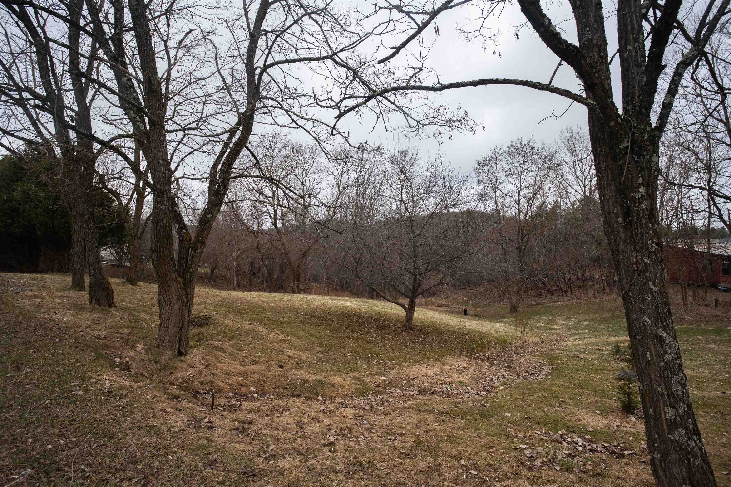 113 Cedar Lane