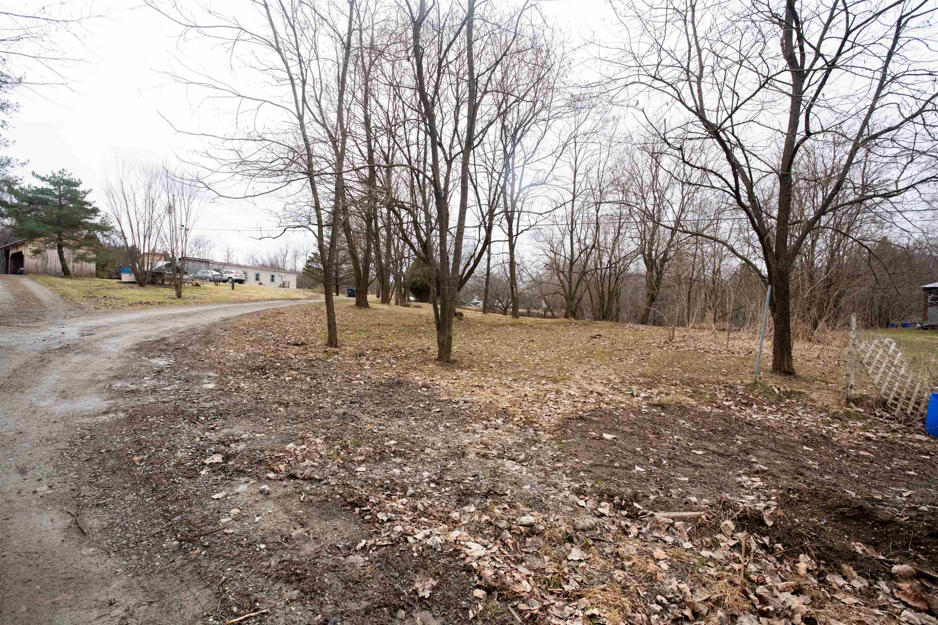 113 Cedar Lane
