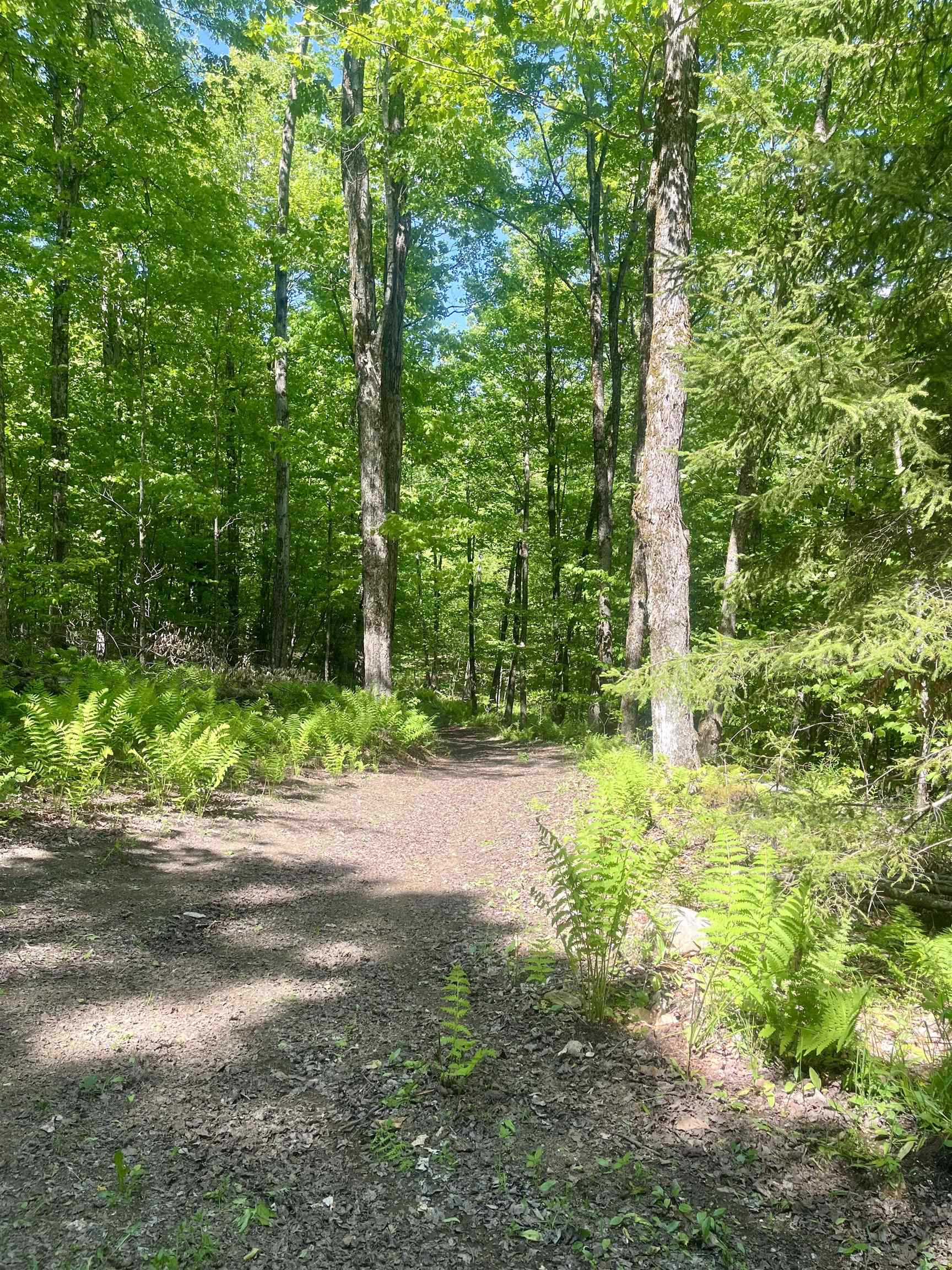 220 Middle Road