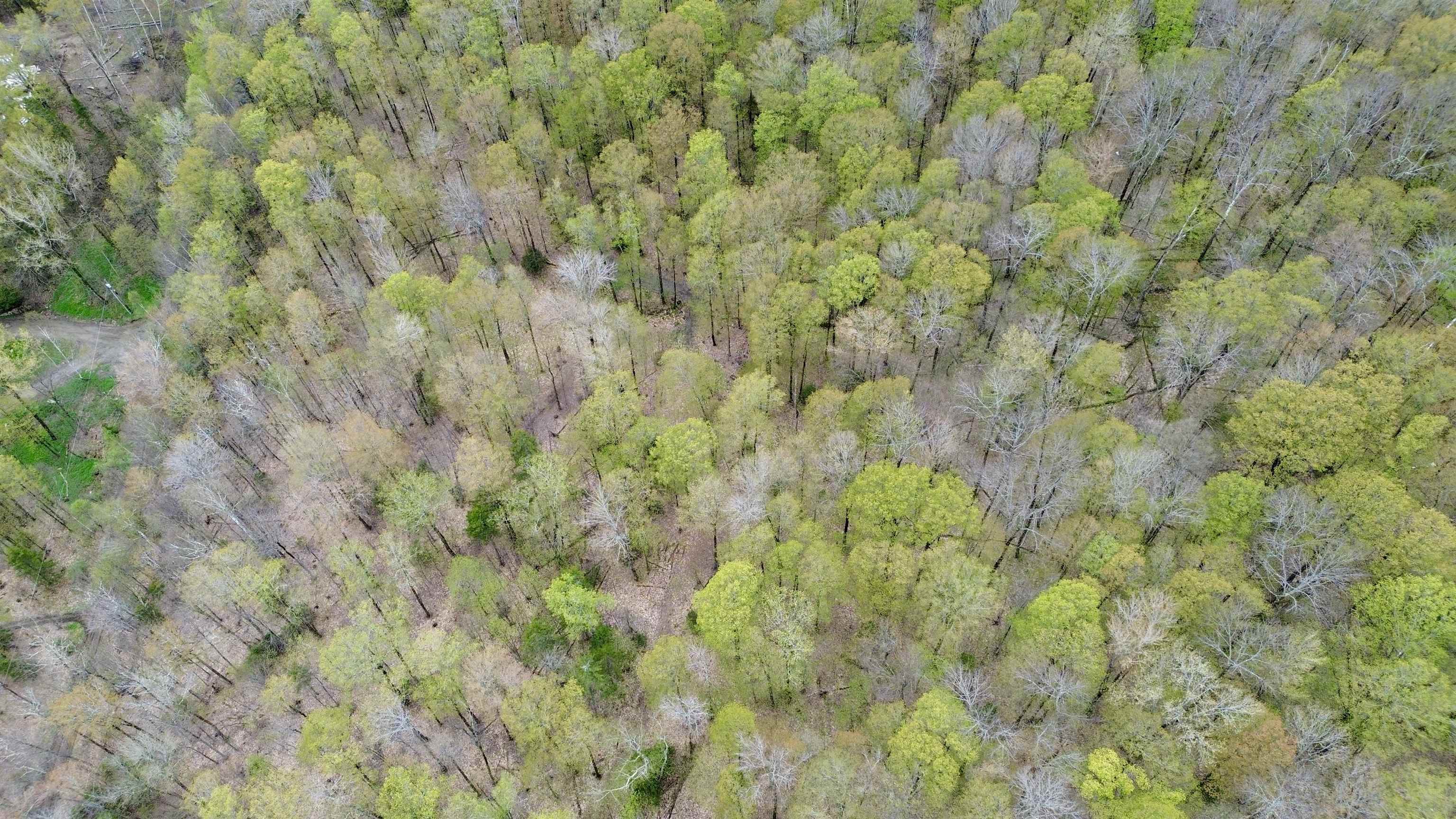 220 Middle Road