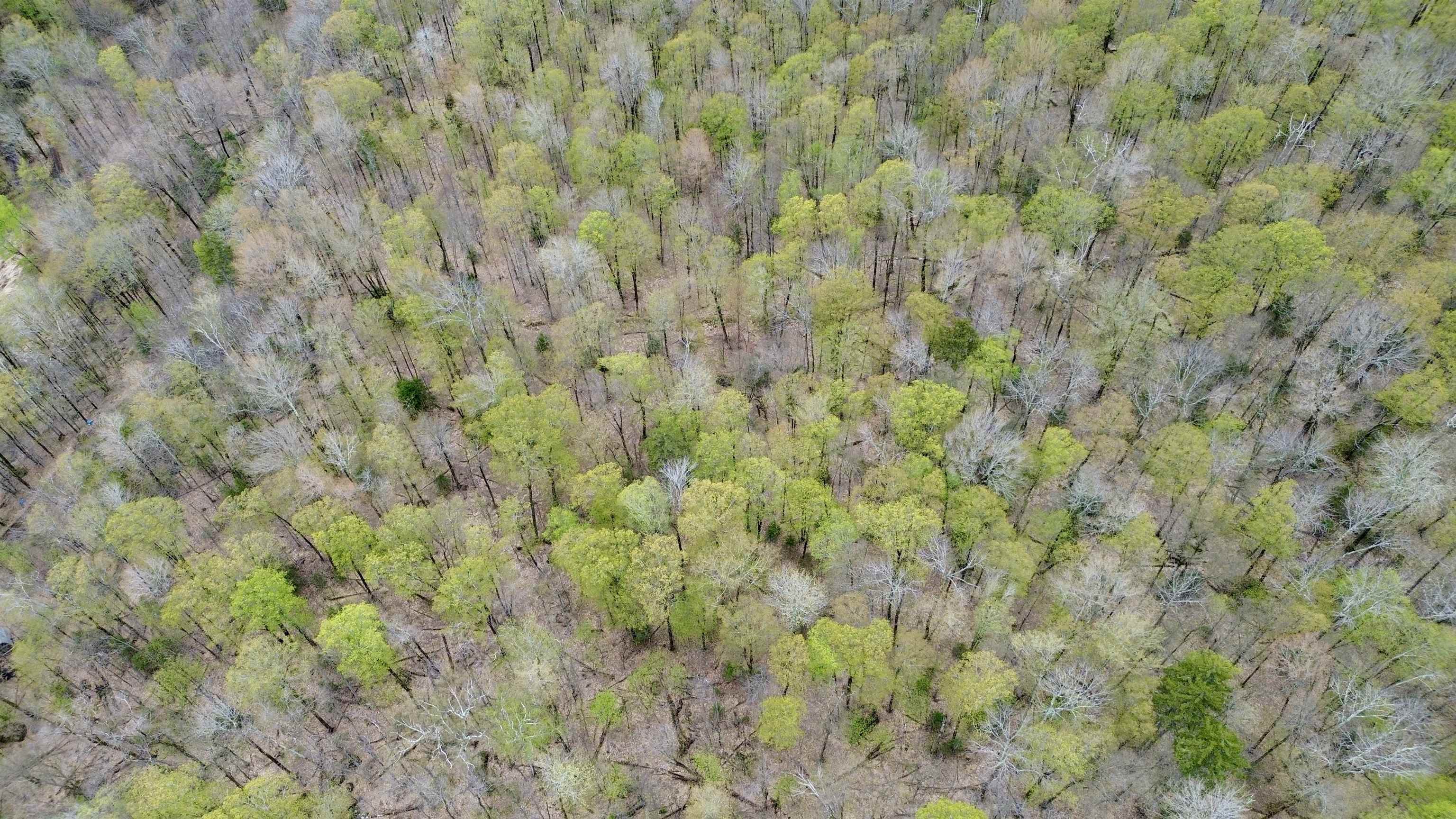 220 Middle Road