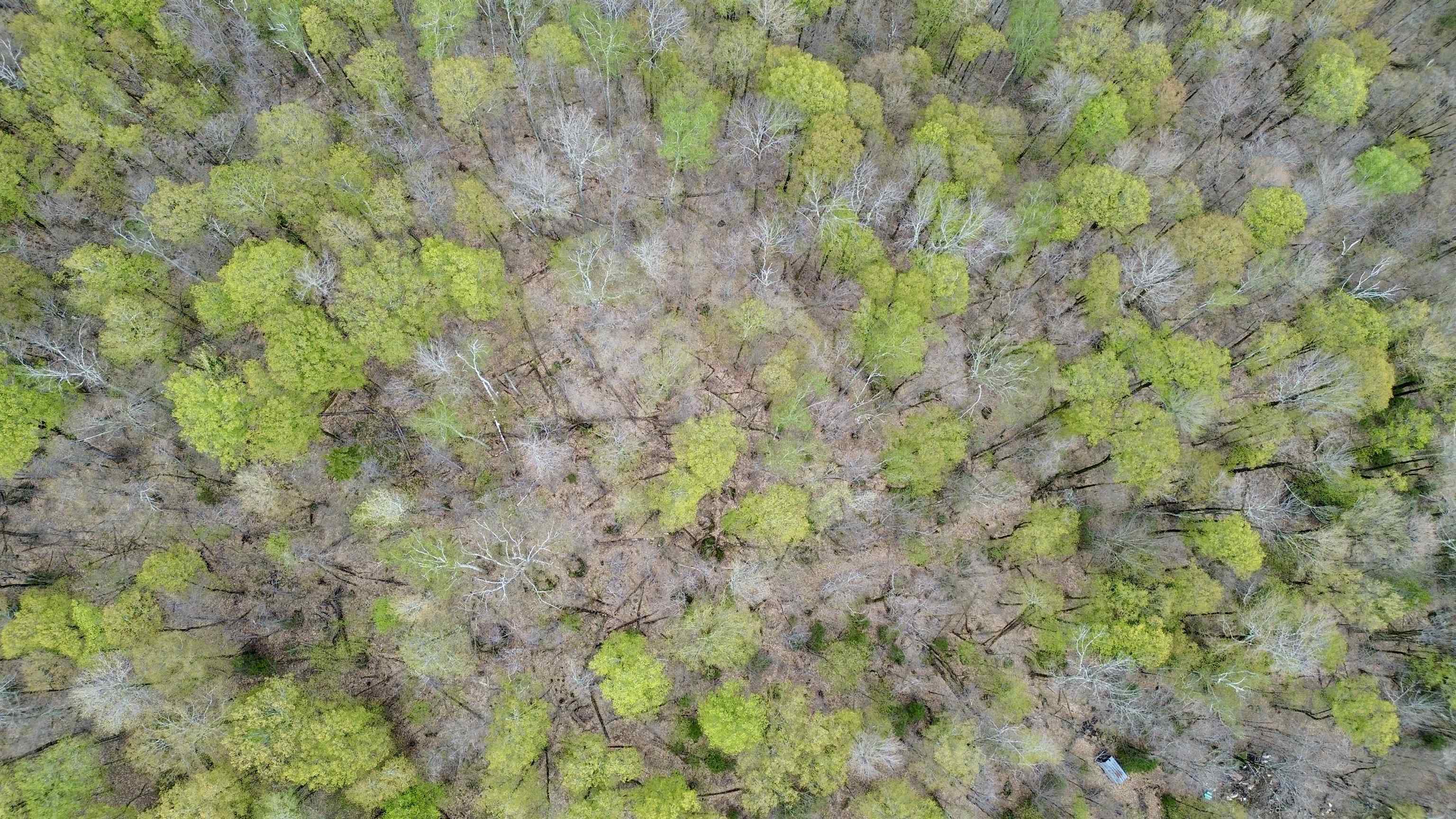 220 Middle Road