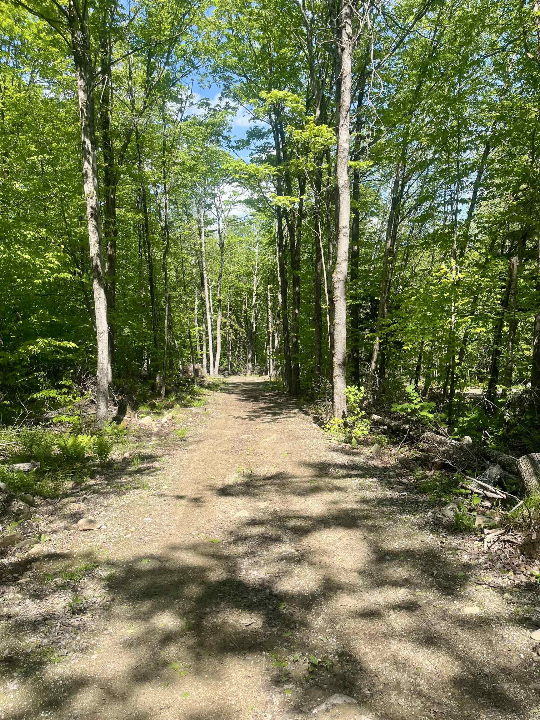 220 Middle Road